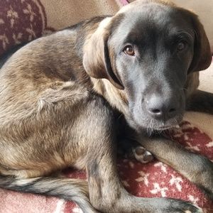 Meet your Posher, Korinne